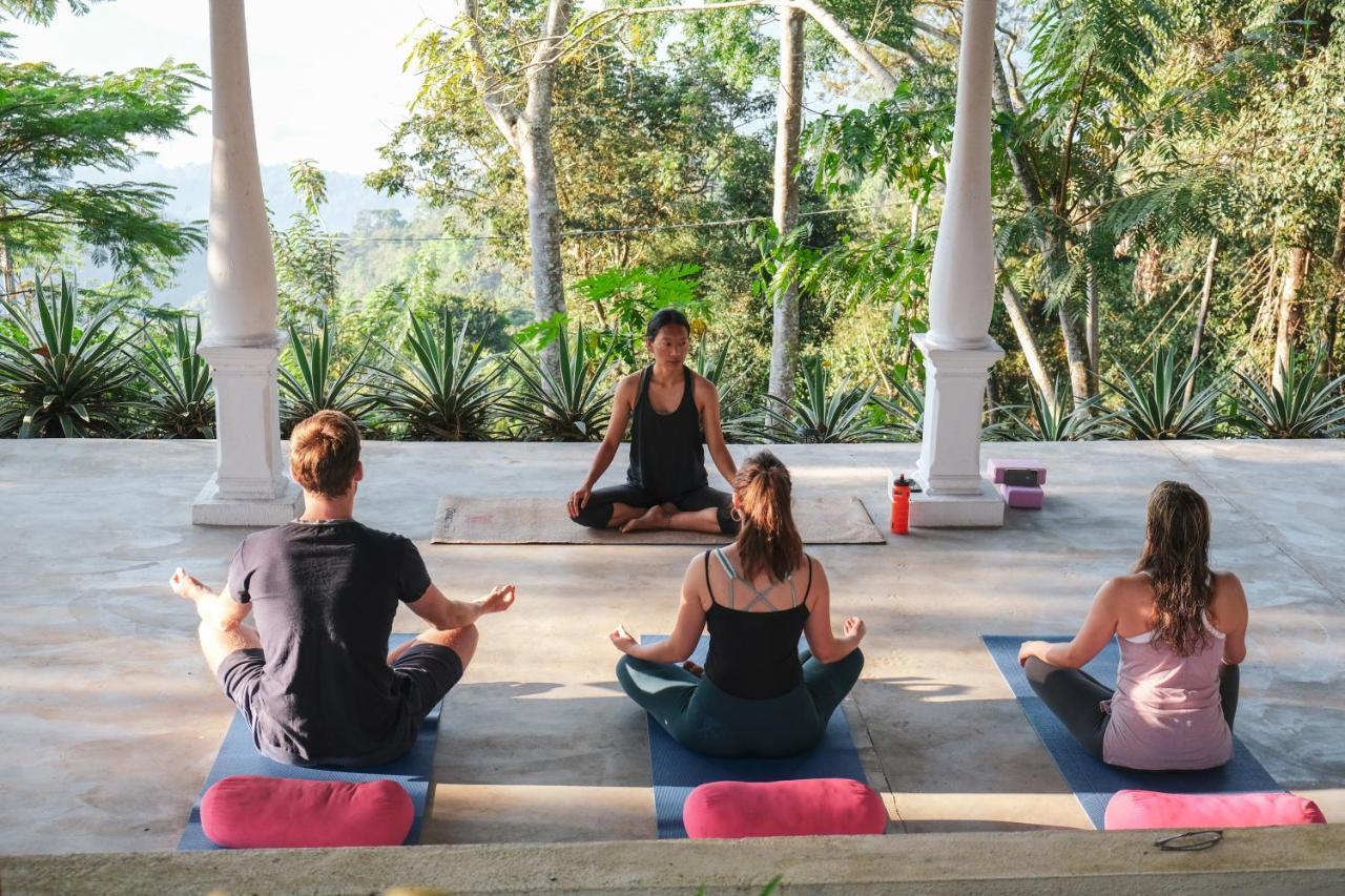 Welikande Yoga Retreats Hotel ดิกานา ภายนอก รูปภาพ