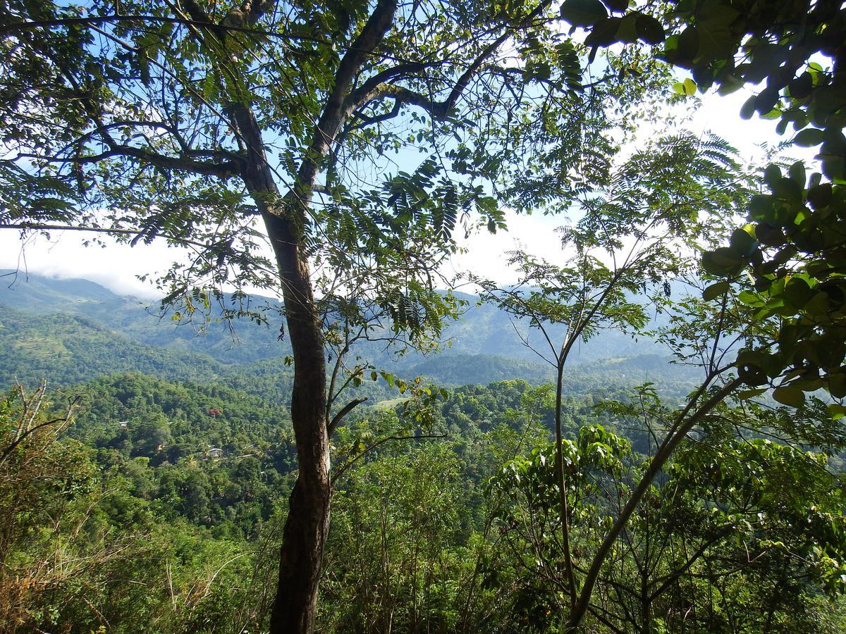 Welikande Yoga Retreats Hotel ดิกานา ภายนอก รูปภาพ